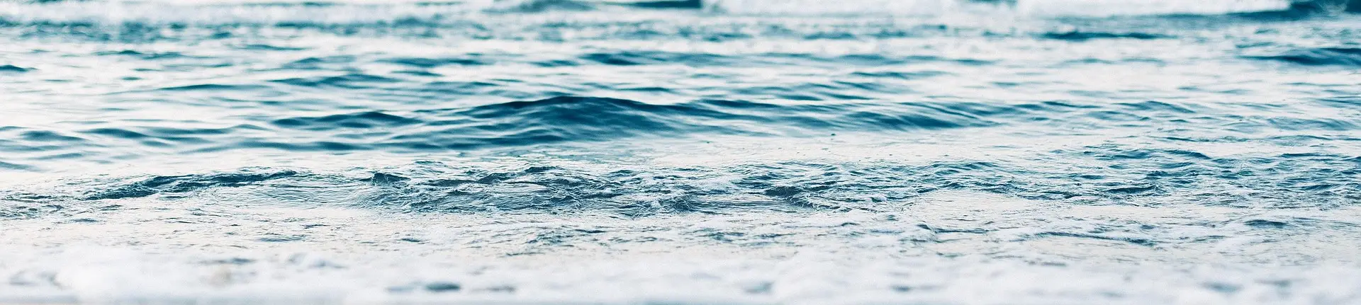 End of Life Network website introduction